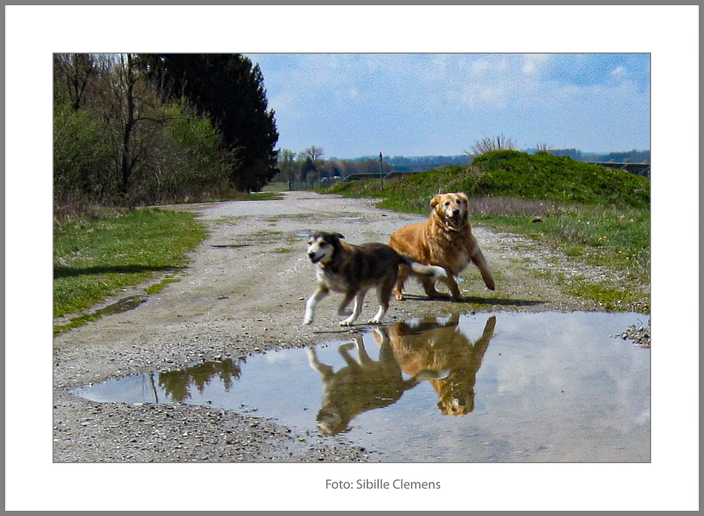 Clemens_Sibille_Spiegelungen 03-Bearbeitet