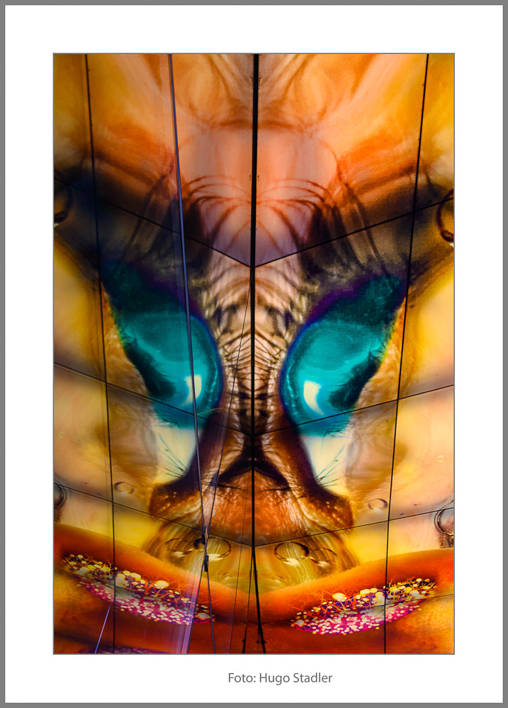 Stadler_Hugo_Spiegelungen_1-Bearbeitet