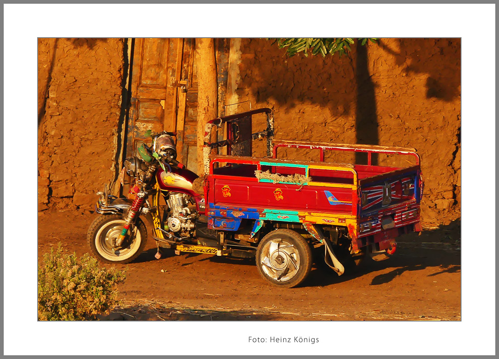 Königs_Heinz_bunt_2-Bearbeitet