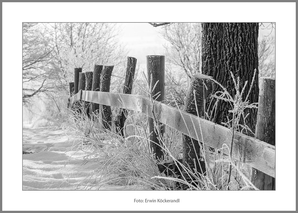 Erwin Köckerandl  Winter 2_