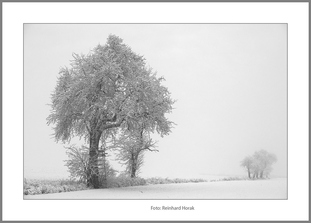 Horak_Reinhard_Winter in SW_004