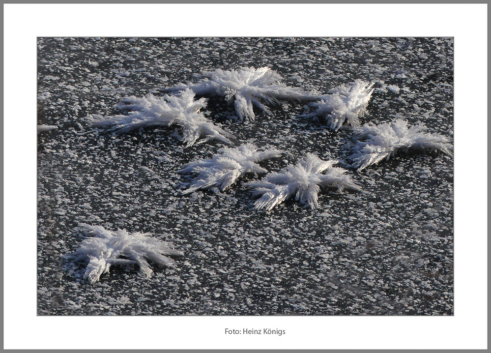 Königs_Heinz_WinterSW_4.jpg