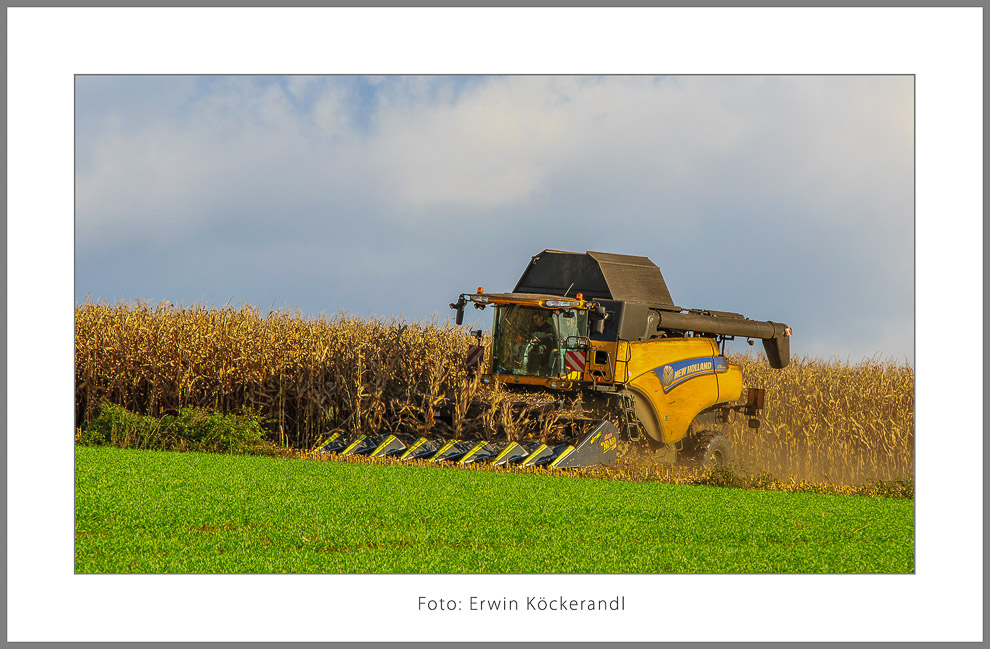 Erwin Köckerandl_Erntezeit_3-Bearbeitet