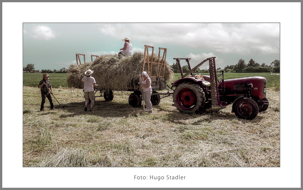 Stadler_Hugo_Ernte_5-Bearbeitet